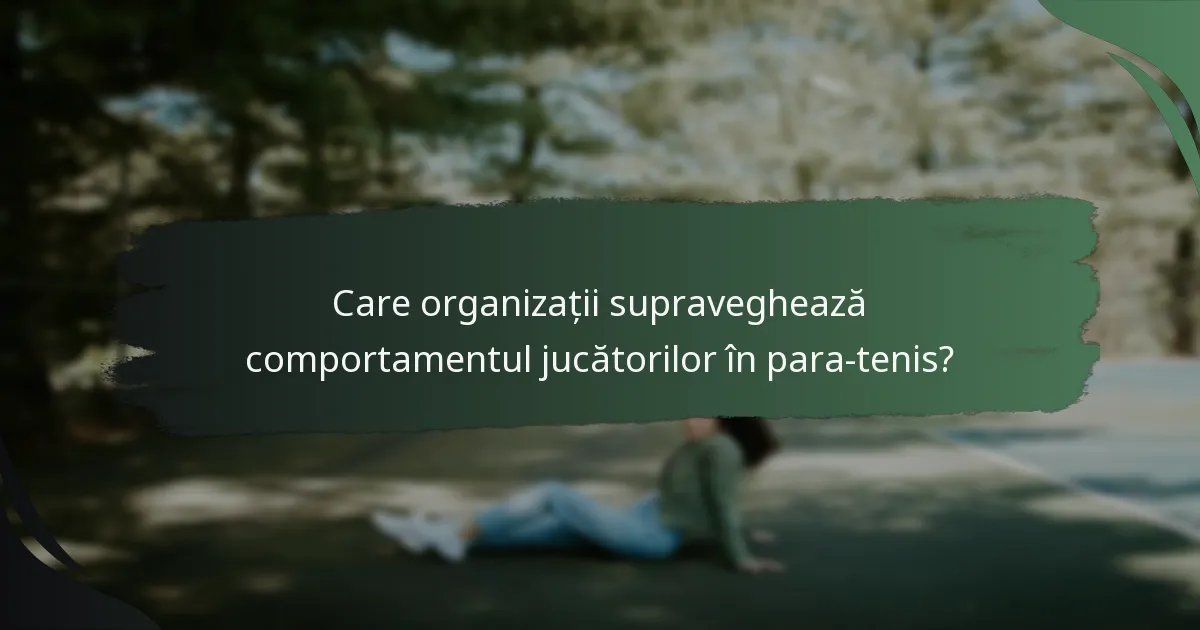 Care organizații supraveghează comportamentul jucătorilor în para-tenis?