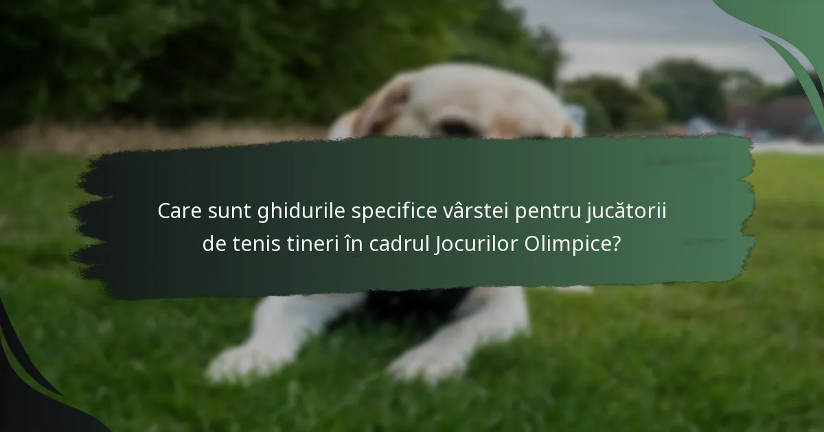 Care sunt ghidurile specifice vârstei pentru jucătorii de tenis tineri în cadrul Jocurilor Olimpice?
