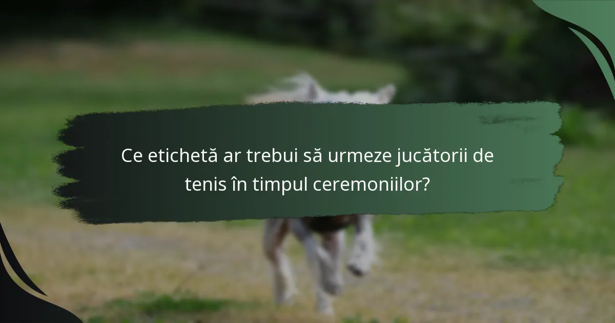 Ce etichetă ar trebui să urmeze jucătorii de tenis în timpul ceremoniilor?