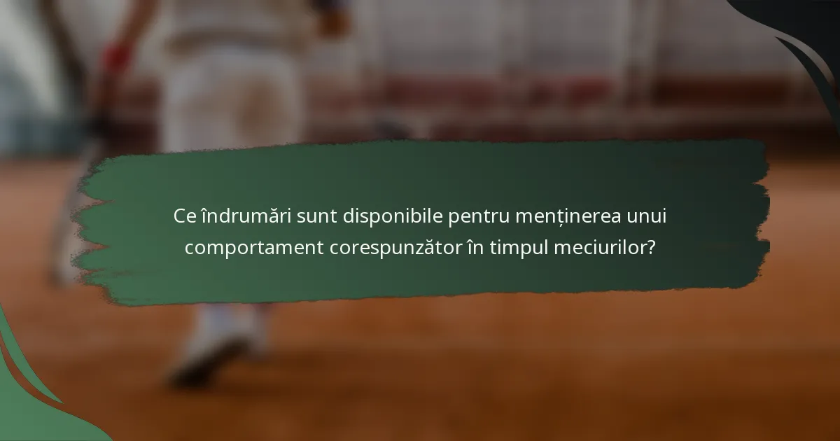 Ce îndrumări sunt disponibile pentru menținerea unui comportament corespunzător în timpul meciurilor?
