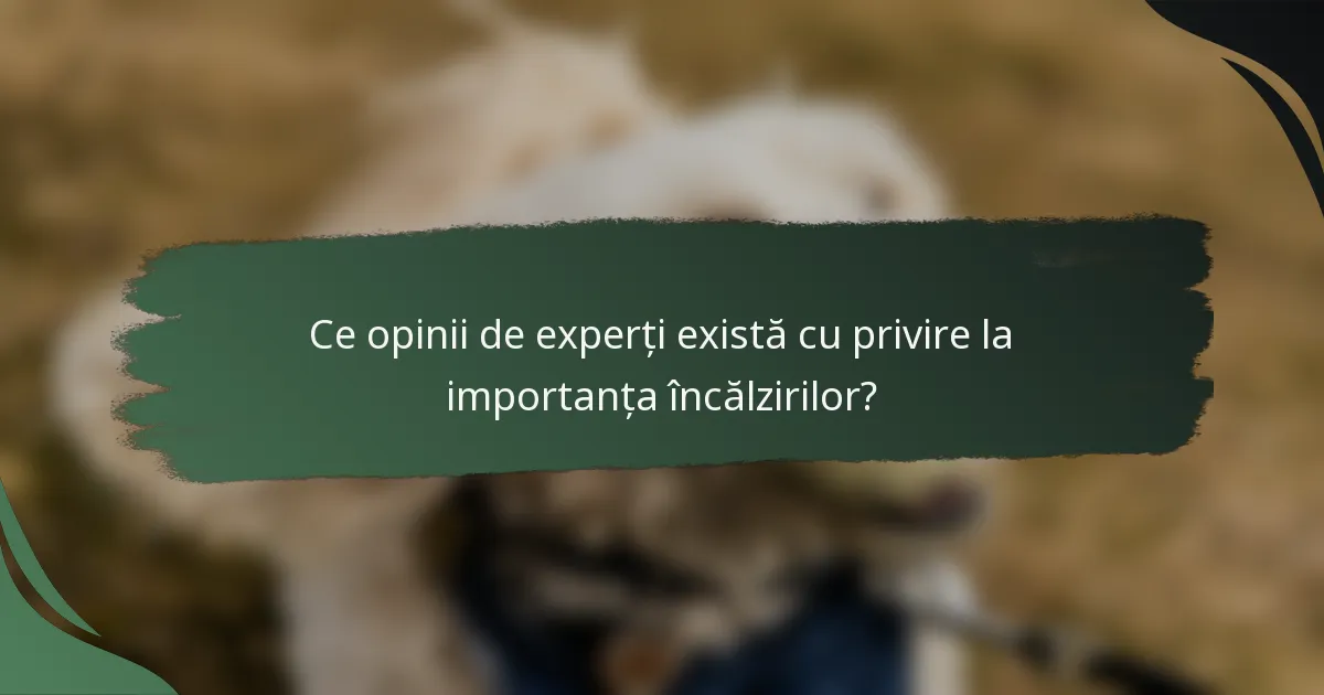 Ce opinii de experți există cu privire la importanța încălzirilor?