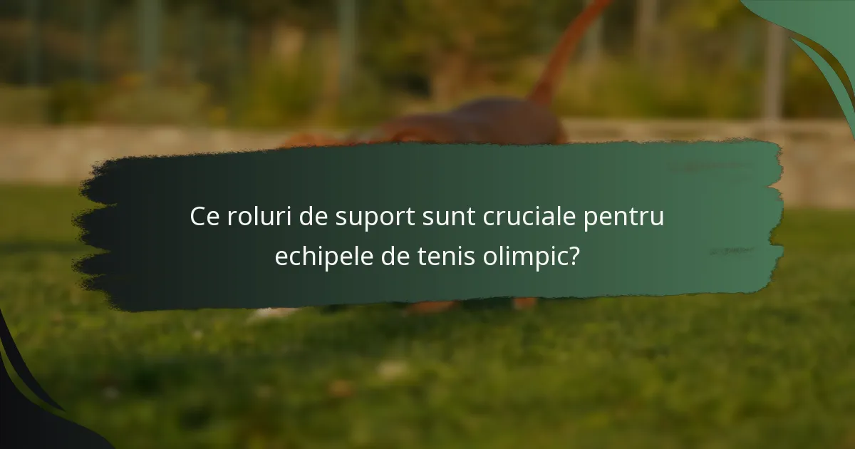 Ce roluri de suport sunt cruciale pentru echipele de tenis olimpic?
