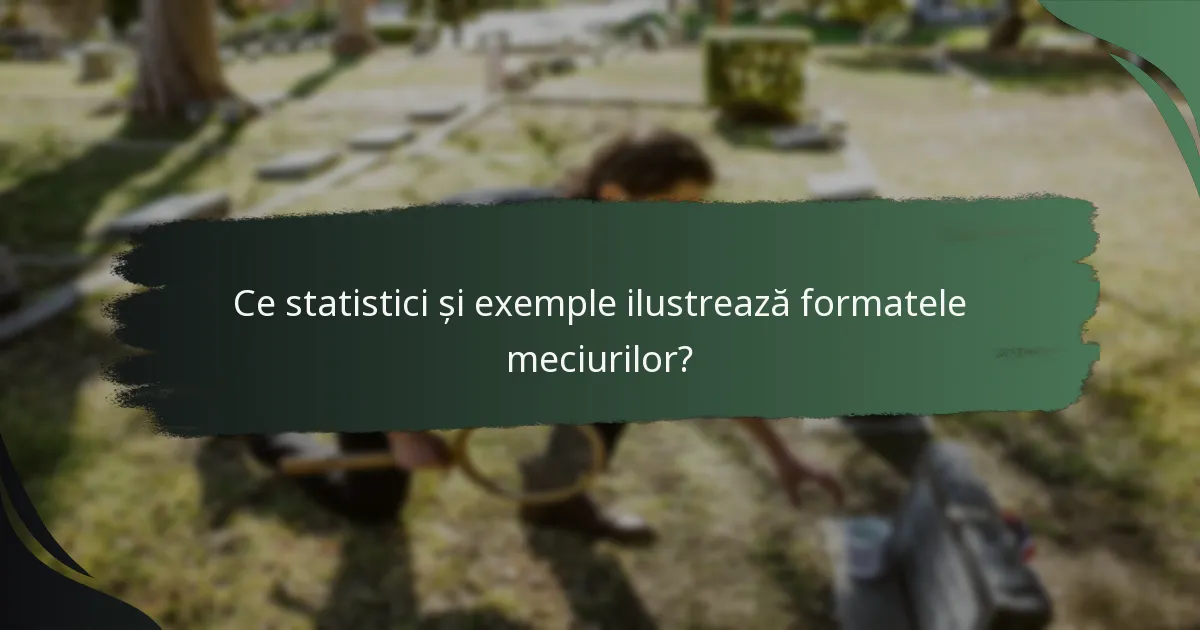 Ce statistici și exemple ilustrează formatele meciurilor?
