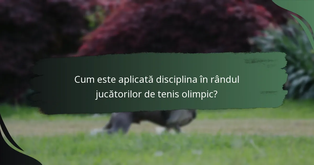 Cum este aplicată disciplina în rândul jucătorilor de tenis olimpic?