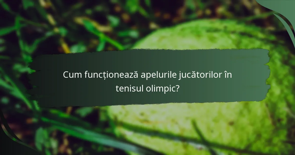 Cum funcționează apelurile jucătorilor în tenisul olimpic?