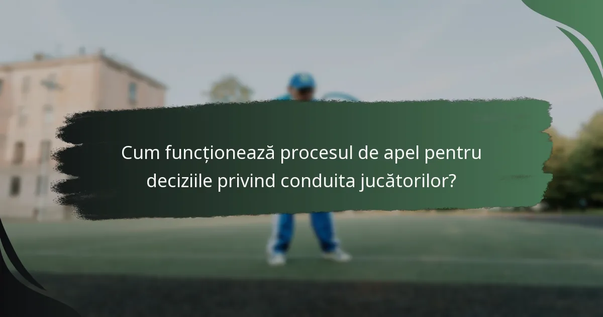 Cum funcționează procesul de apel pentru deciziile privind conduita jucătorilor?