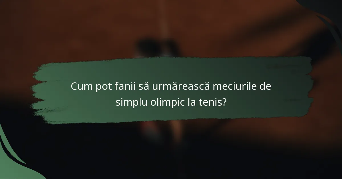Cum pot fanii să urmărească meciurile de simplu olimpic la tenis?