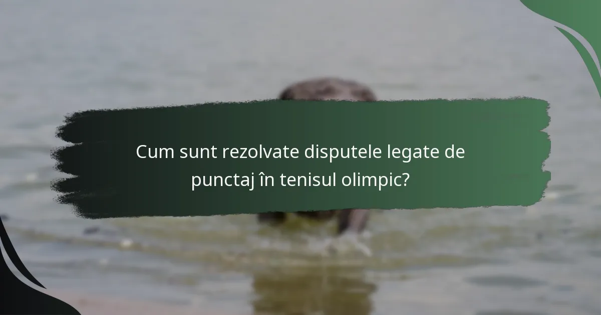 Cum sunt rezolvate disputele legate de punctaj în tenisul olimpic?
